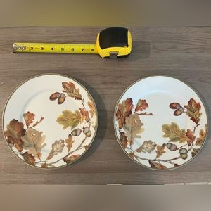 Williams Sonoma Acorn Salad Plate (Set of 2)